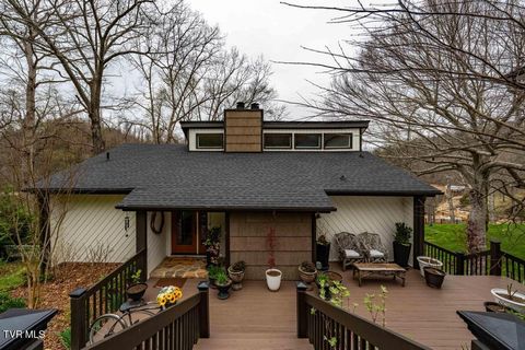 Photo of 487 Lakeshore Road, Bluff City, TN 37618 (MLS # 9993179)