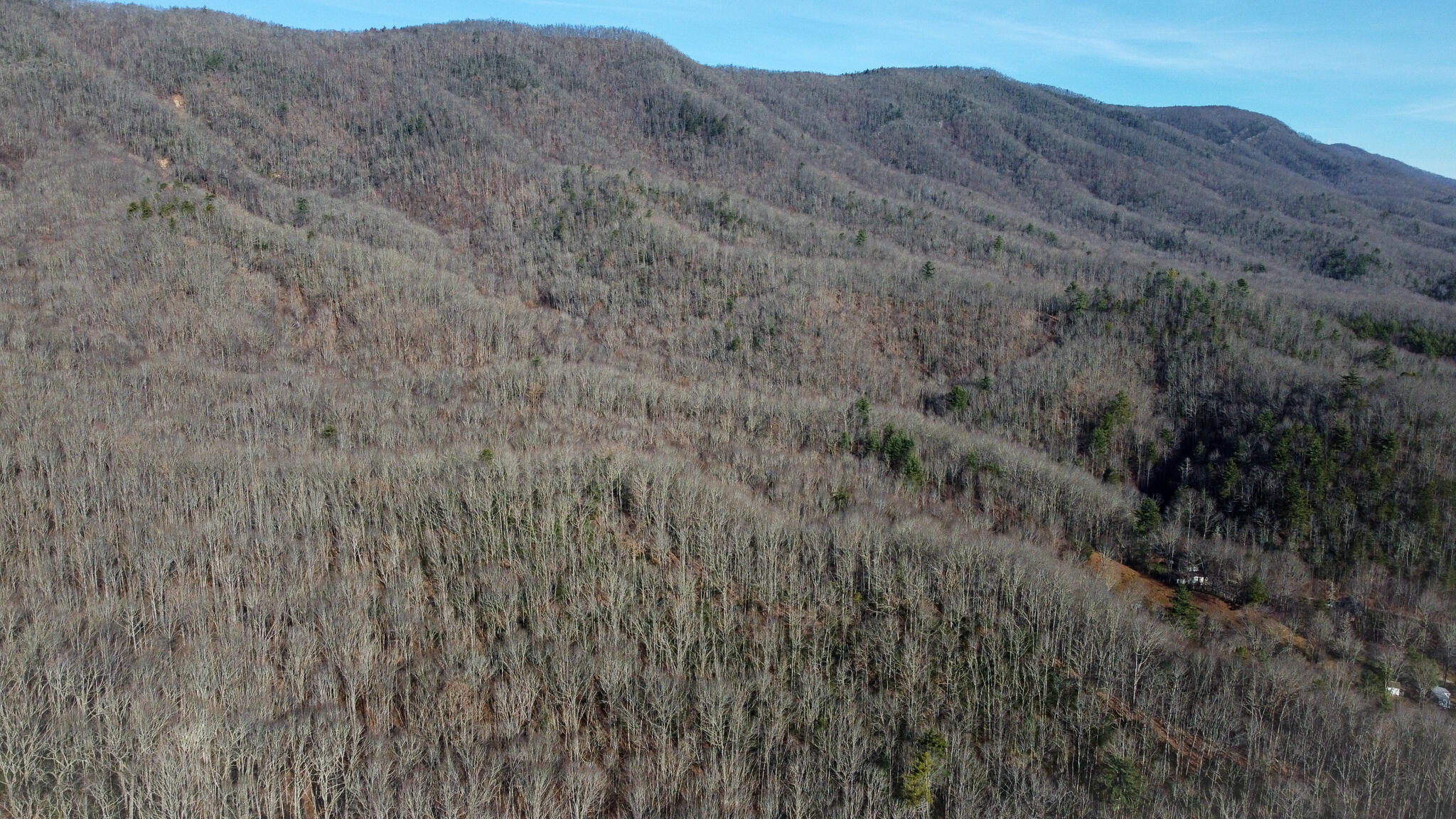 Tbd Jimmy Hollow Road, Butler, Tennessee image 28