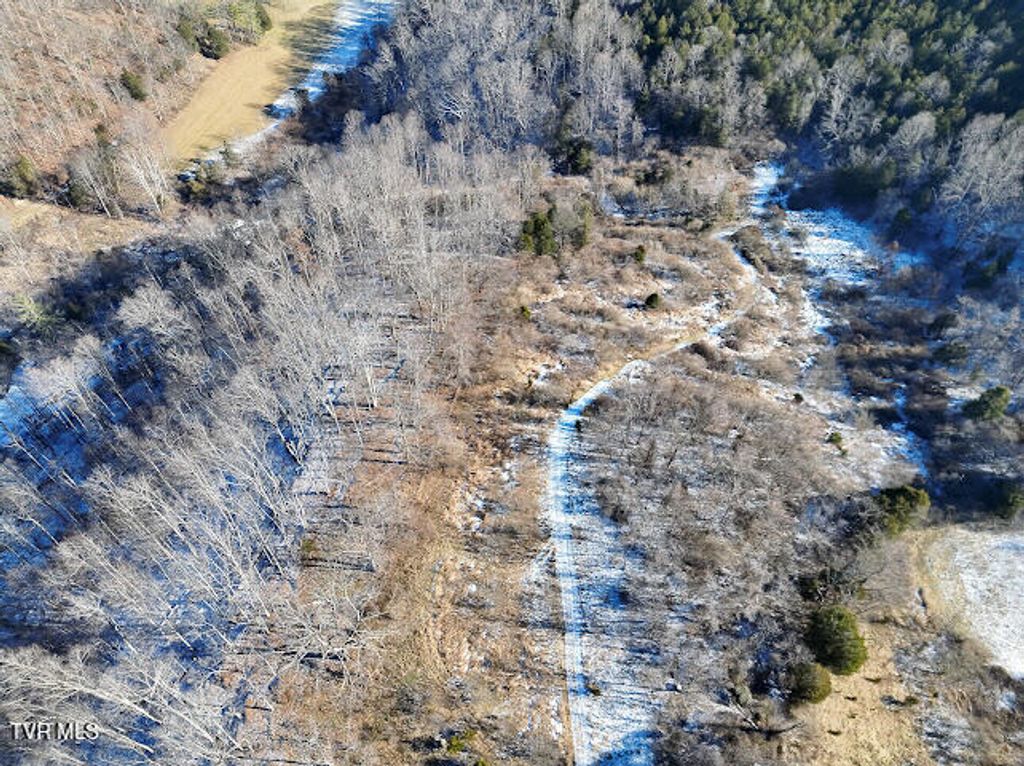 Photo of Tbd Sugar Run Road, Cedar Bluff, VA 24609 (MLS # 9989368)