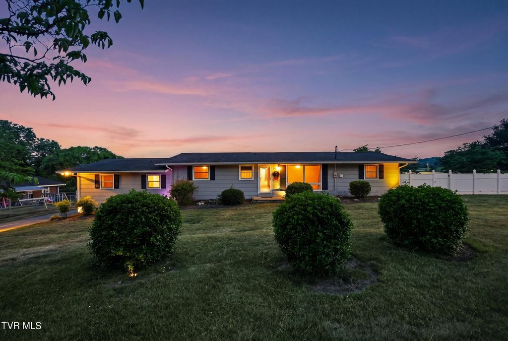 Photo of 165 Richard Street, Gray, TN 37615 (MLS # 9995734)