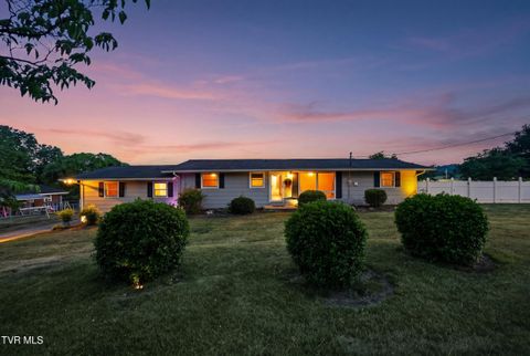 Photo of 165 Richard Street, Gray, TN 37615 (MLS # 9995734)