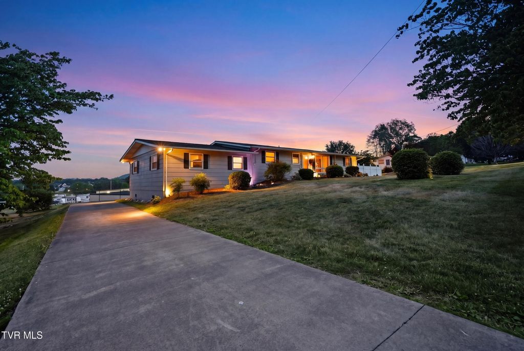Photo of 165 Richard Street, Gray, TN 37615 (MLS # 9995734)