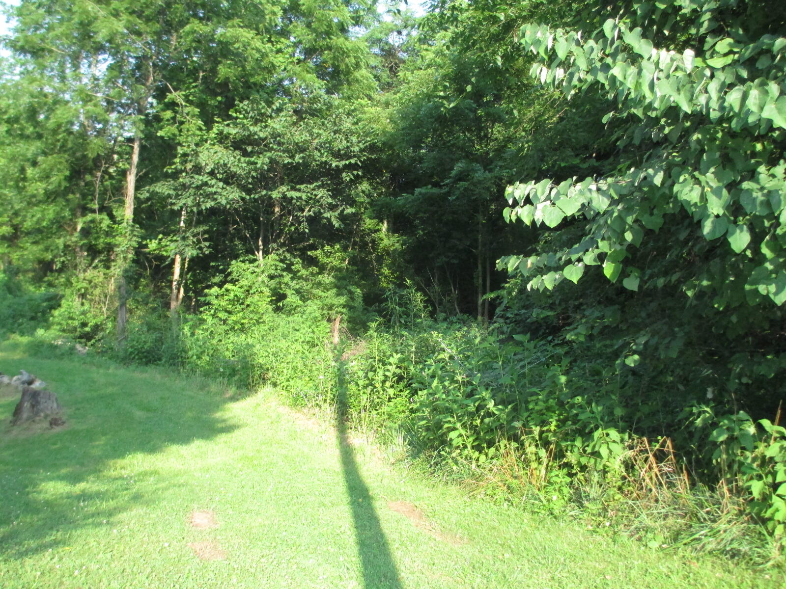00 Highway 11e, Limestone, Tennessee image 9