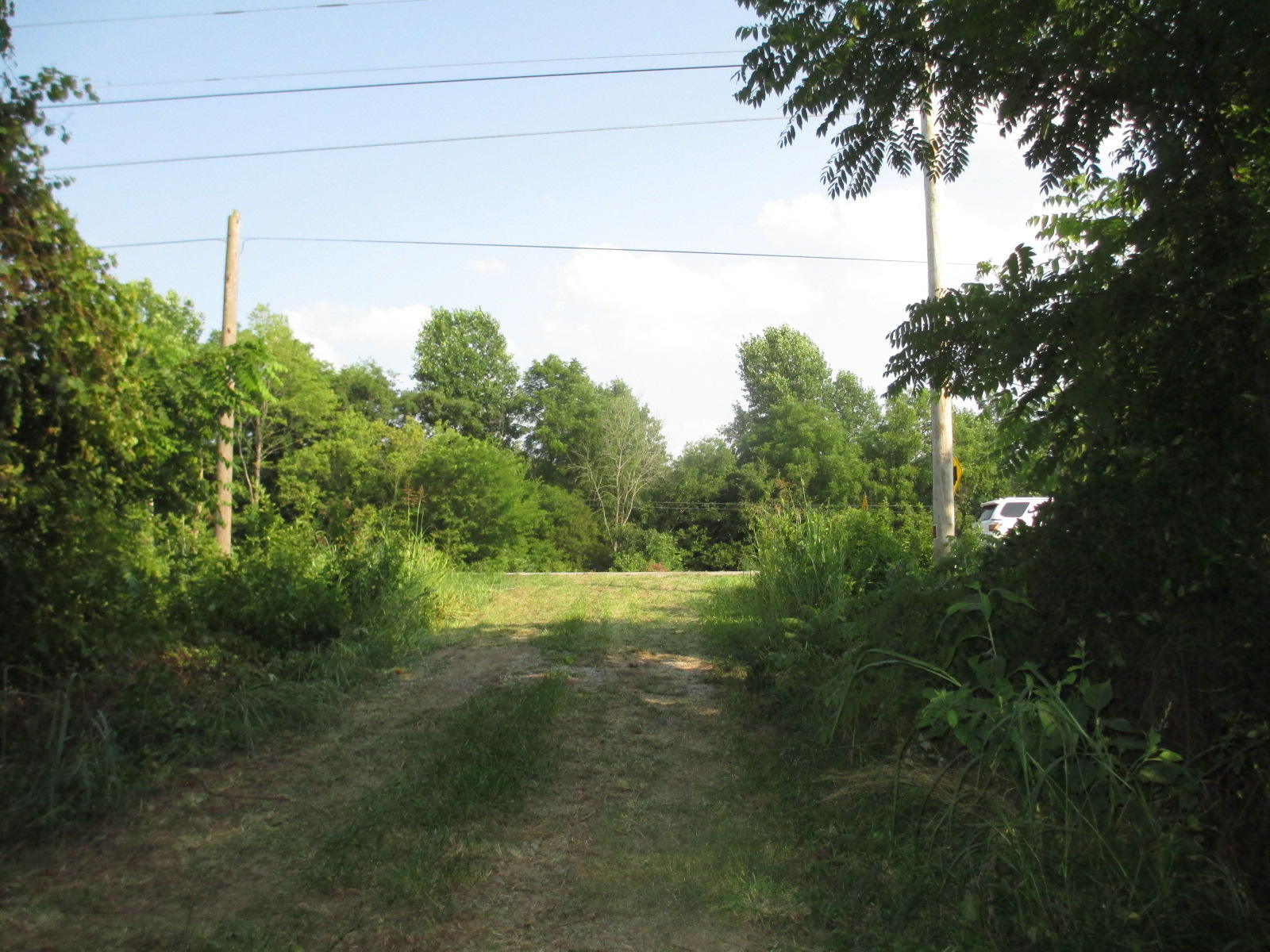 00 Highway 11e, Limestone, Tennessee image 6
