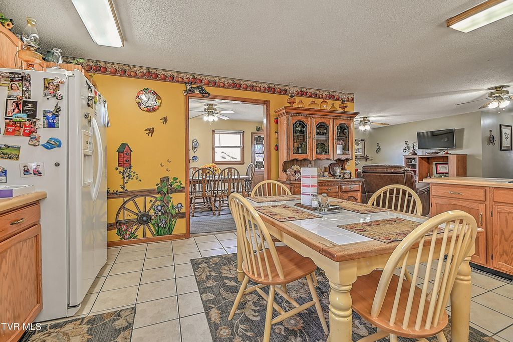 Photo of 423 Kendricks Hollow Road, Bristol, TN 37620 (MLS # 9989386)