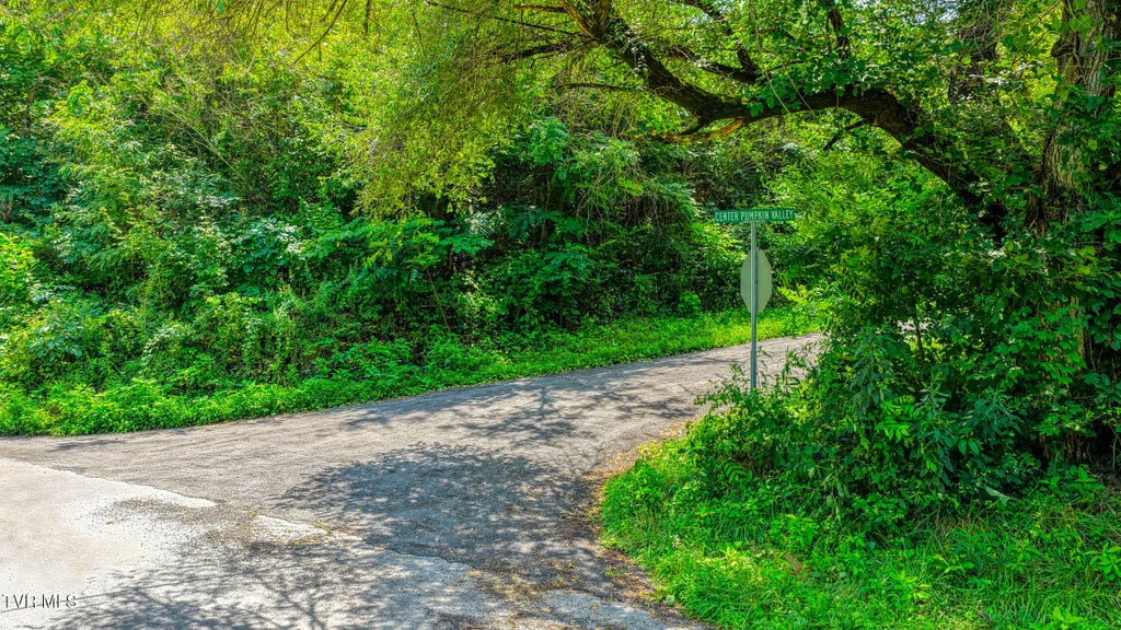 Photo of Tbd Sweet Creek #Tbd, Eidson, TN 37731 (MLS # 9999099)