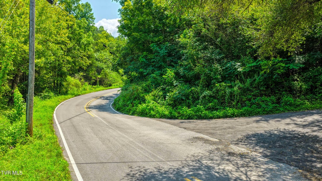 Photo of Tbd Sweet Creek #Tbd, Eidson, TN 37731 (MLS # 9999099)