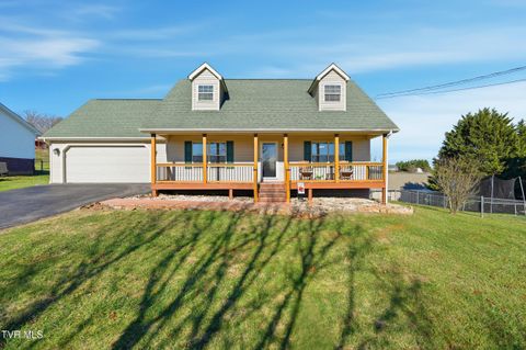Photo of 1115 Daisy Lane, Jonesborough, TN 37659 (MLS # 9990116)
