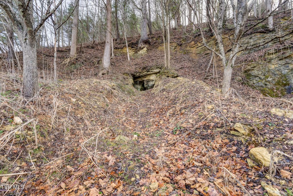 Photo of Tbd Highway 67, Mountain City, TN 37683 (MLS # 9991398)