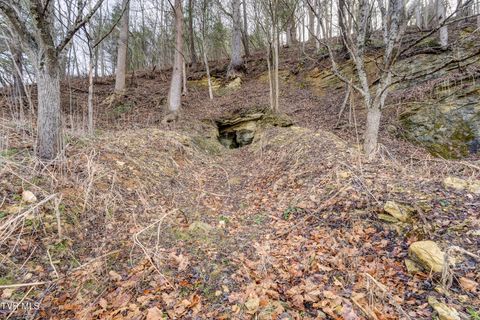 Vacant Land For Sale - TBD Highway 67<br/> Johnson County, Mountain City, TN 37683