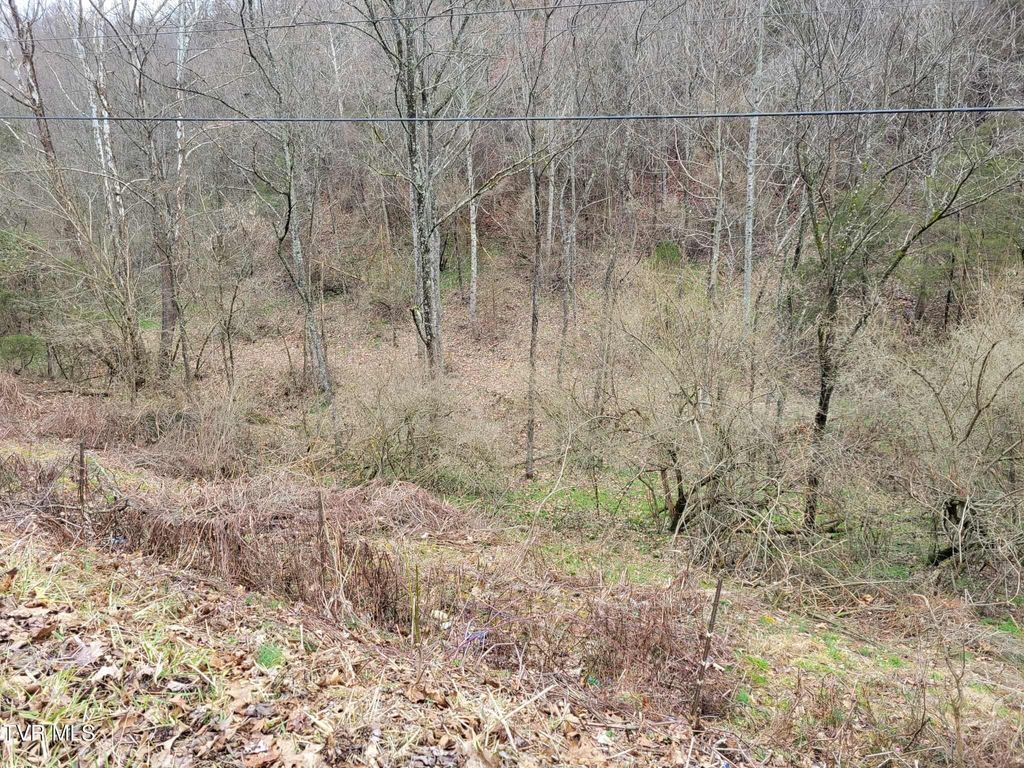 Photo of Tbd Jaggy Fox Trail, Jonesville, VA 24263 (MLS # 9991957)