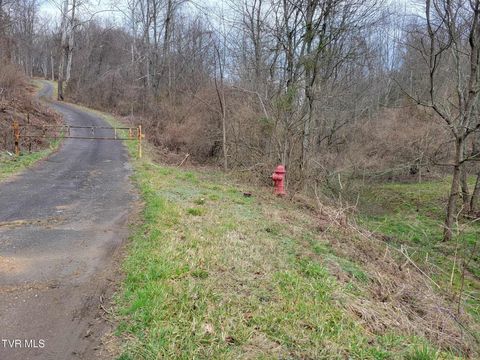 Vacant Land For Sale - TBD Jaggy Fox Trail<br/> Lee County, Jonesville, VA 24263