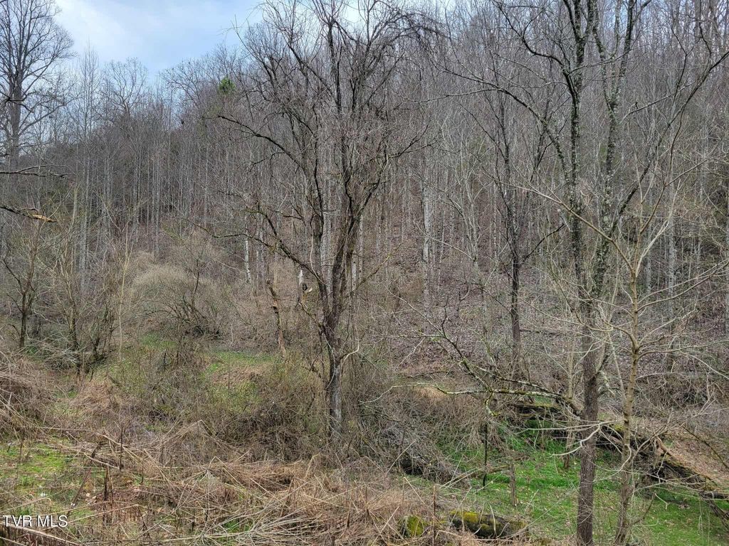 Photo of Tbd Jaggy Fox Trail, Jonesville, VA 24263 (MLS # 9991957)