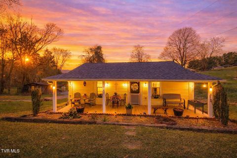 Photo of 517 Cherokee Drive, Mount Carmel, TN 37645 (MLS # 9993216)