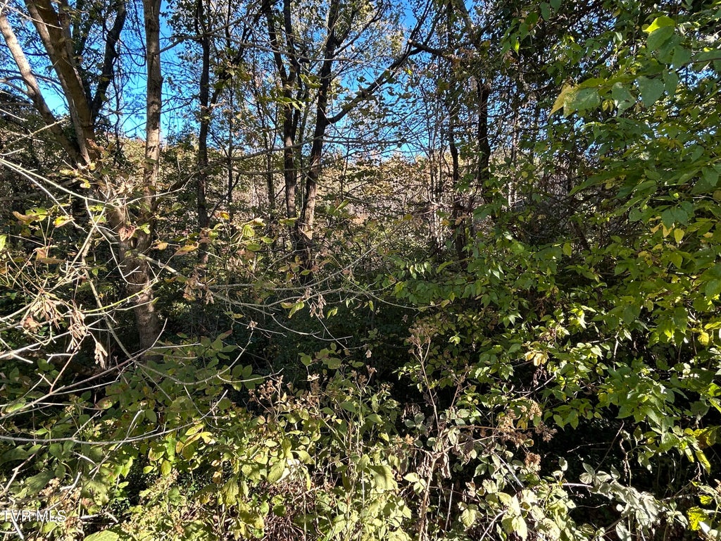 Photo of Tbd Deerfoot Lane, Greeneville, TN 37743 (MLS # 10002522)