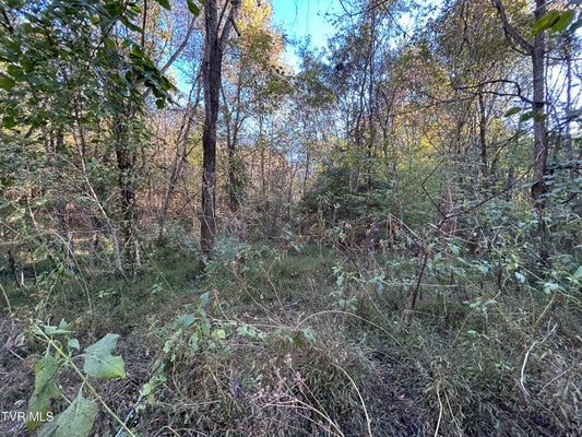 TBD DEERFOOT LANE, GREENEVILLE, TN 37743 - Image 5240eca70aad74c90b19aeaab4bf1b4e/668703578
