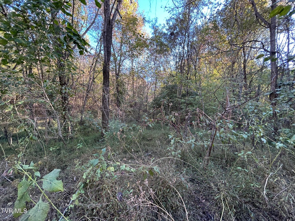 Photo of Tbd Deerfoot Lane, Greeneville, TN 37743 (MLS # 10002522)