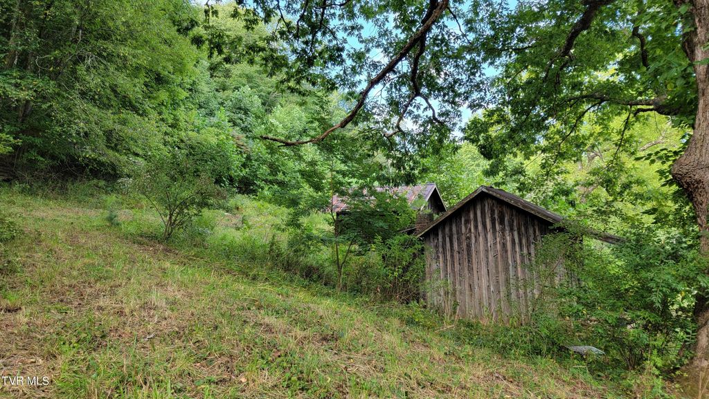 Photo of 00 Dry Stone Branch Road, Mountain City, TN 37683 (MLS # 9993327)