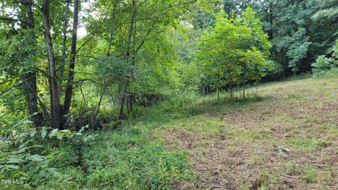 Vacant Land For Sale - 00 Dry Stone Branch Road<br/> Johnson County, Mountain City, TN 37683