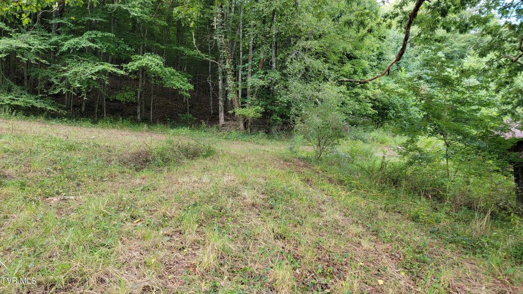 Photo of 00 Dry Stone Branch Road, Mountain City, TN 37683 (MLS # 9993327)