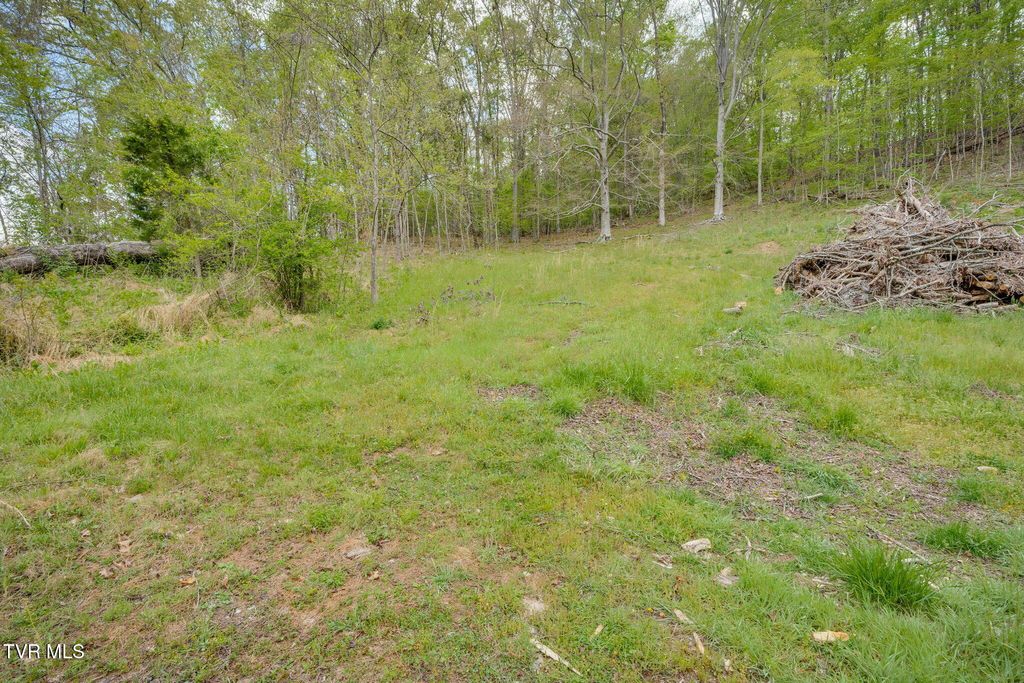 Photo of 218 Bridwell Heights Road, Kingsport, TN 37664 (MLS # 9994207)