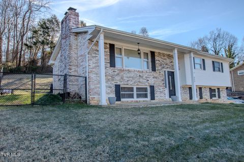 Photo of 329 Summerville Road, Kingsport, TN 37663 (MLS # 9992188)