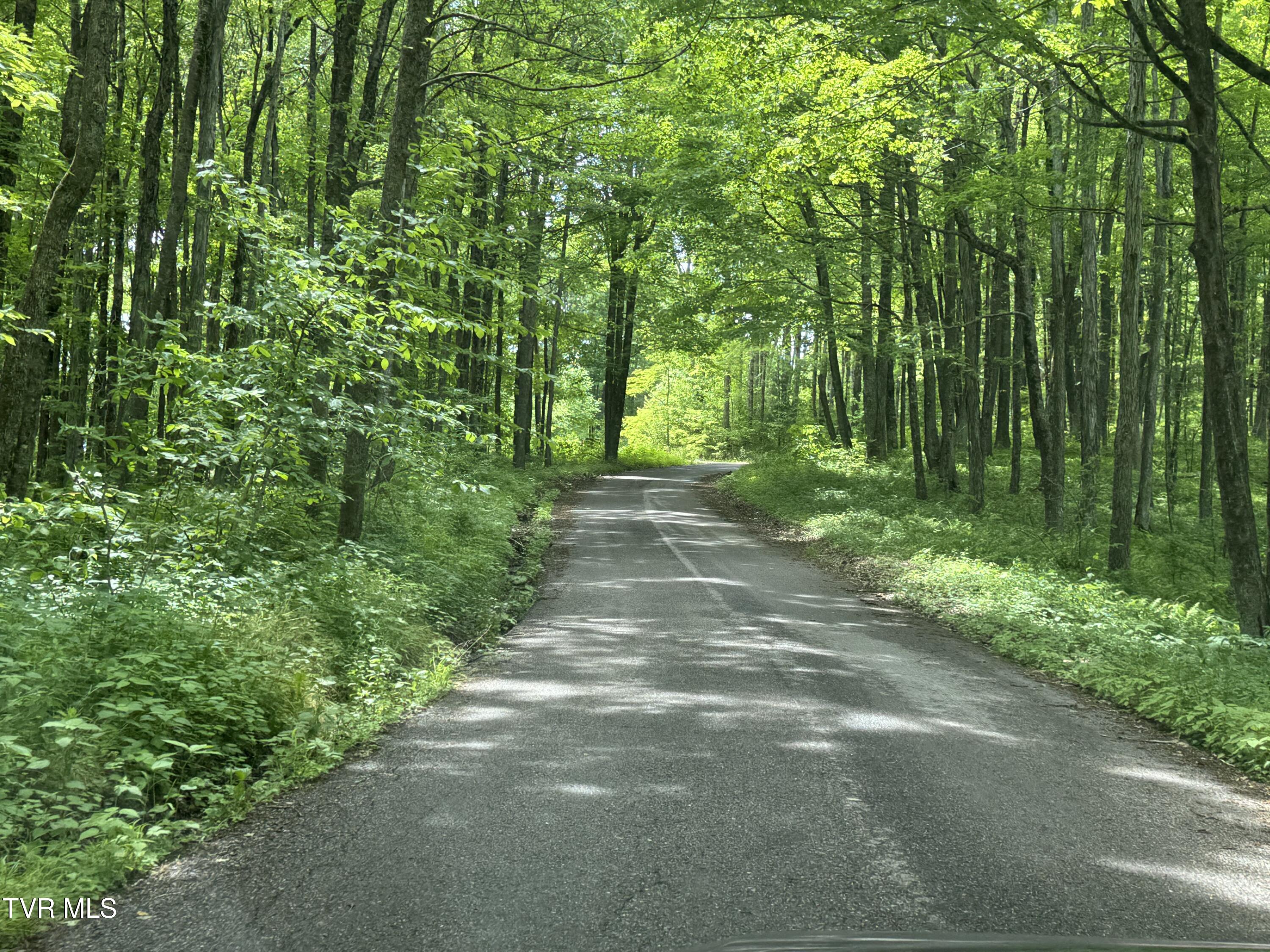 4331 Sentry Road, Big Stone Gap, Virginia image 26