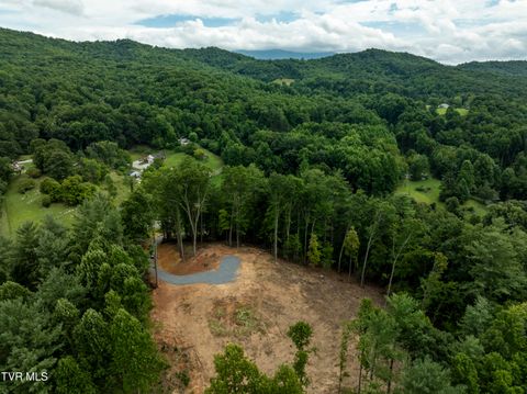 Vacant Land For Sale - 6495 Lazy Bear Lane<br/> Unicoi County, Unicoi, TN 37692