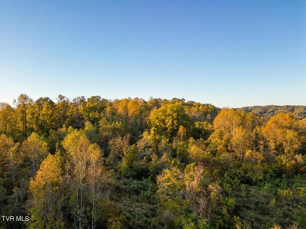 Photo of Tbd Weaver Pike, Bristol, TN 37620 (MLS # 10002390)