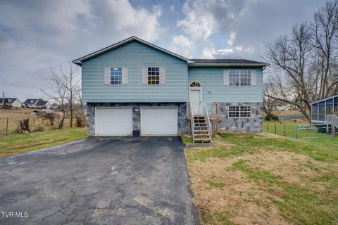 Photo of 100 Springview Drive, Johnson City, TN 37615 (MLS # 9989951)