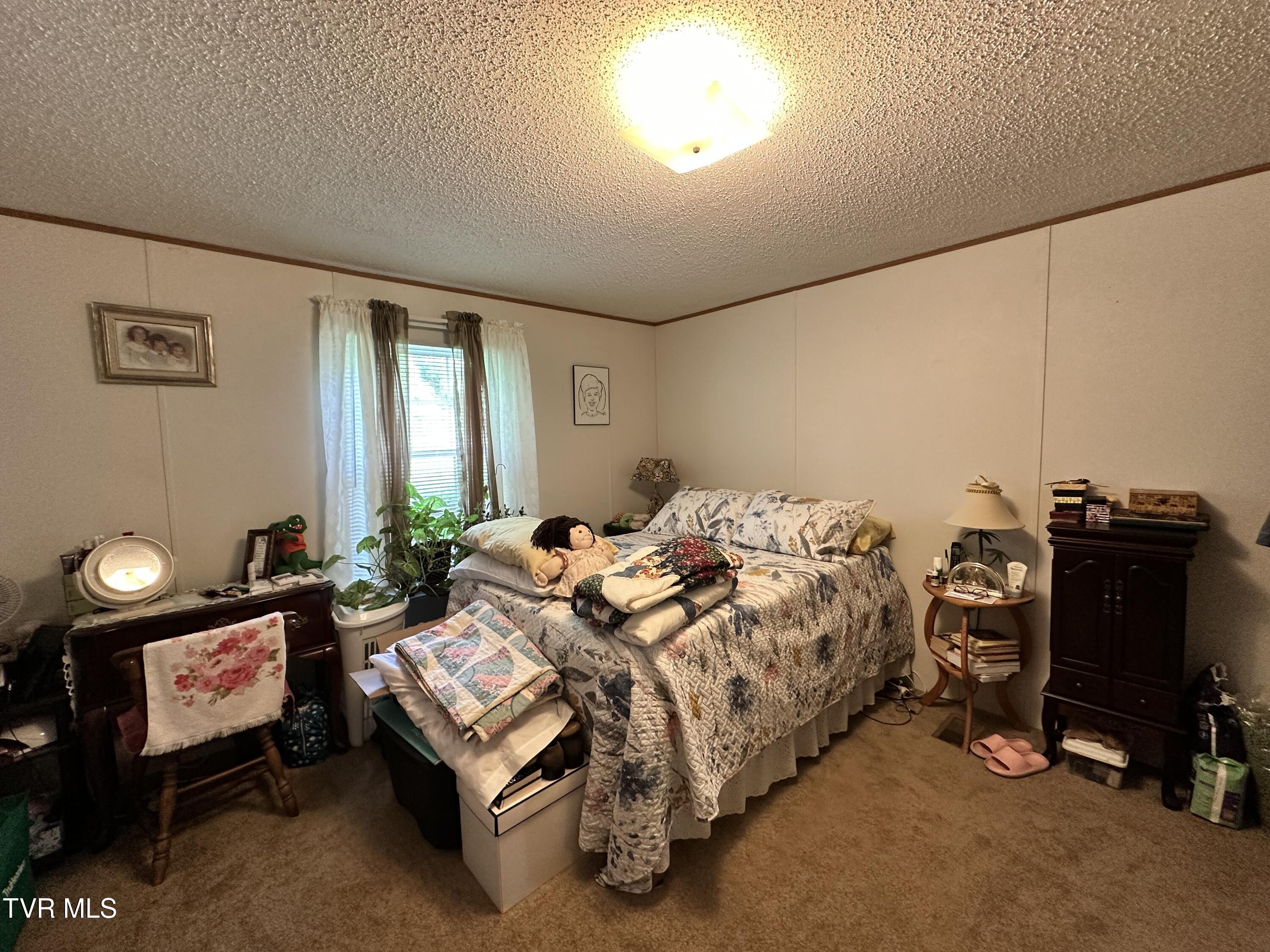 105 Helbert Pvt Drive, Bristol, Tennessee image 20