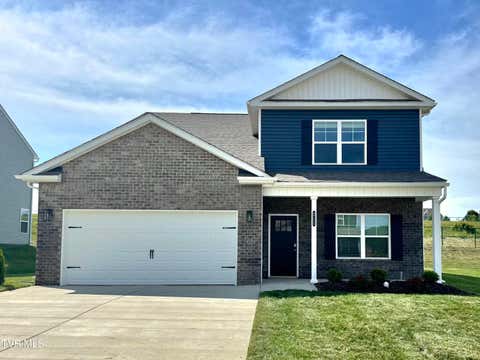 Homes For Sale - 211 Artist Avenue Ave<br/> Washington County County, Johnson City, TN 37615