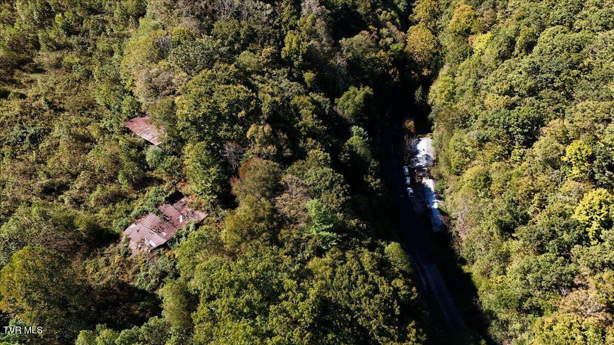 4493 Livingston Creek Road, Bristol, Virginia image 11