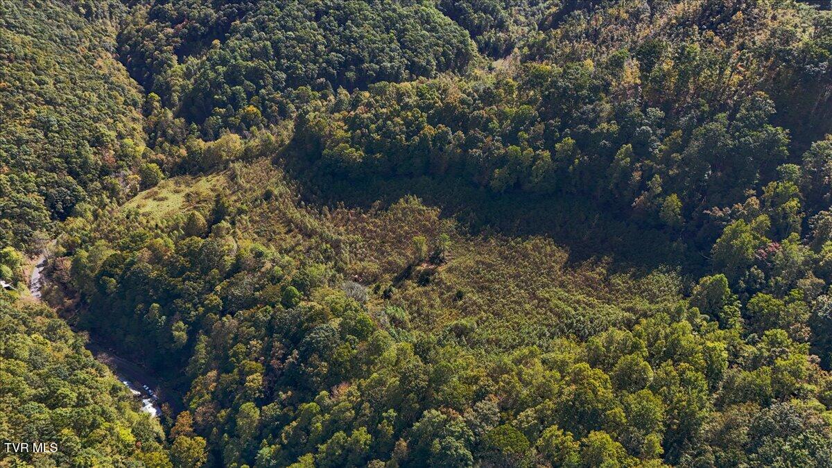 4493 Livingston Creek Road, Bristol, Virginia image 12