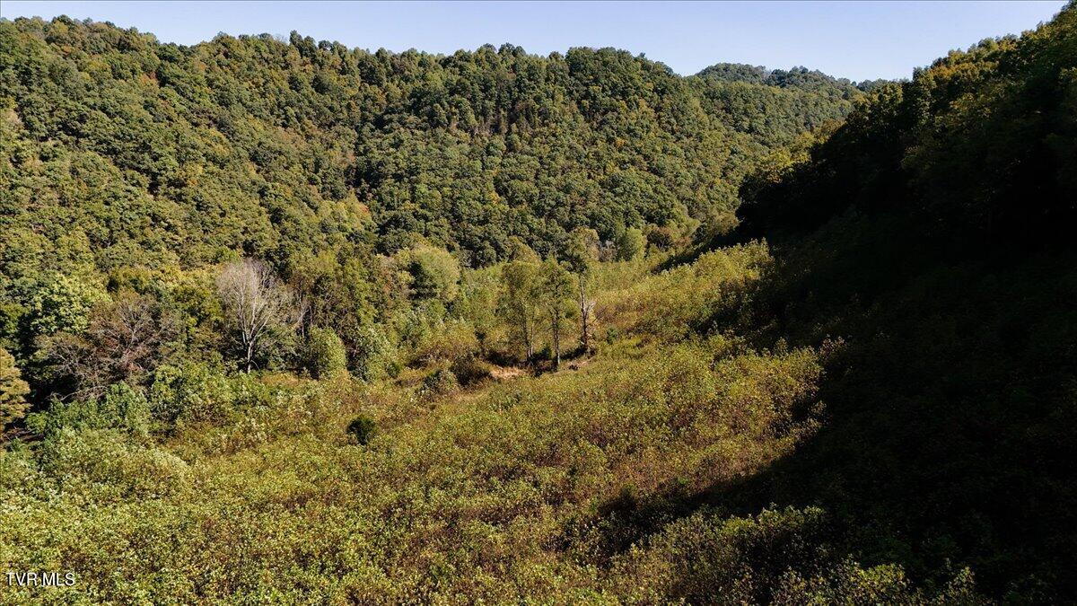 4493 Livingston Creek Road, Bristol, Virginia image 7