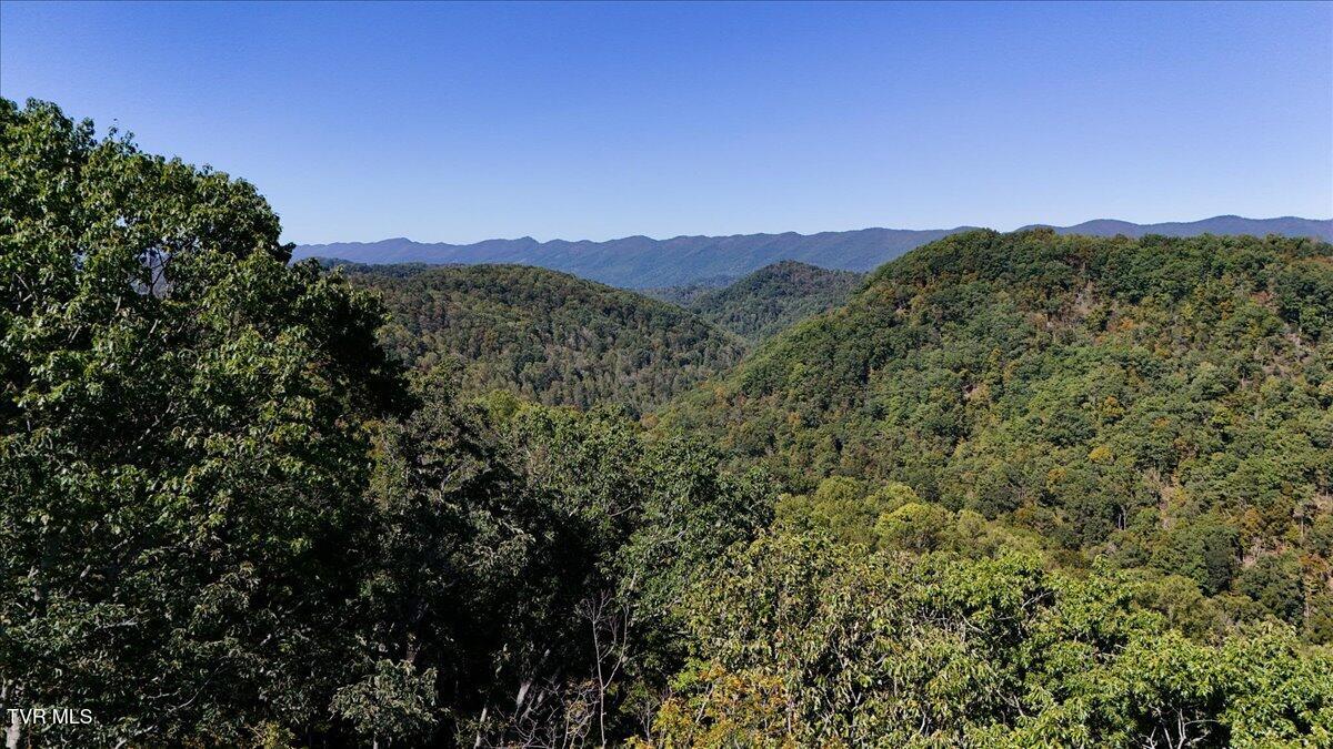 4493 Livingston Creek Road, Bristol, Virginia image 6