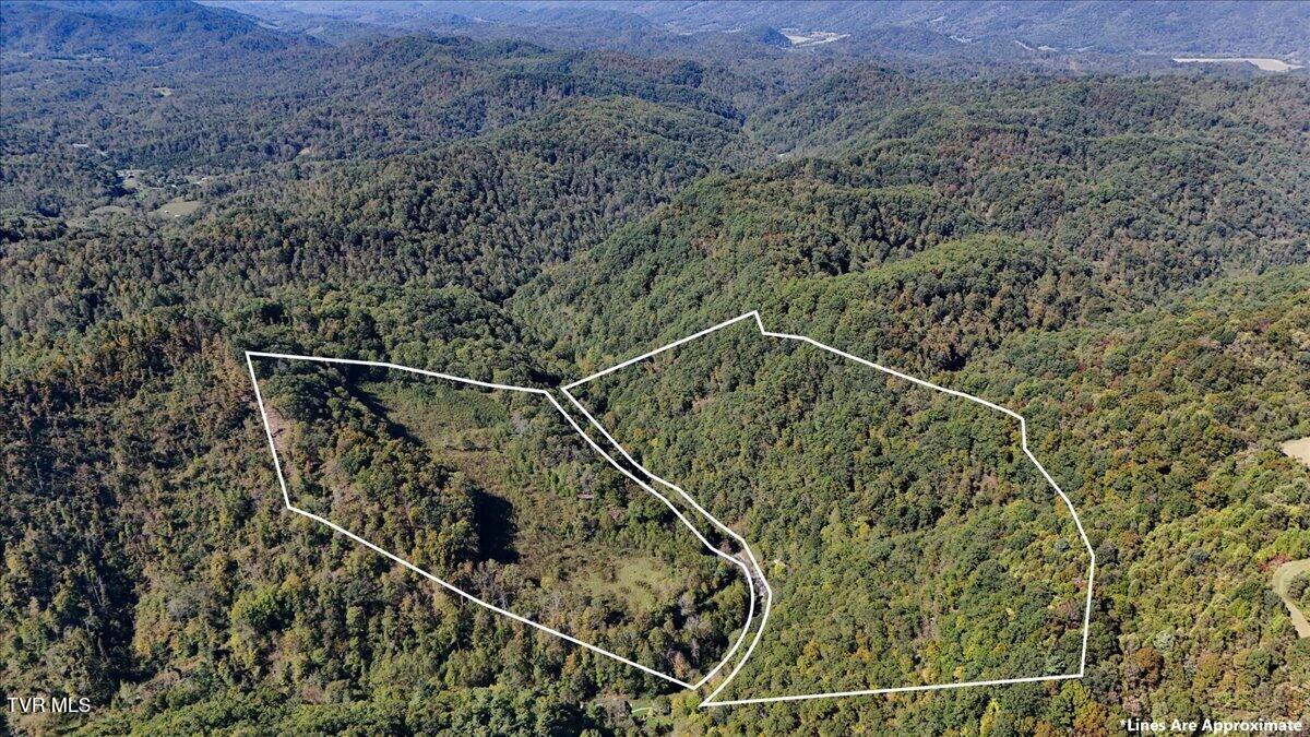 4493 Livingston Creek Road, Bristol, Virginia image 2