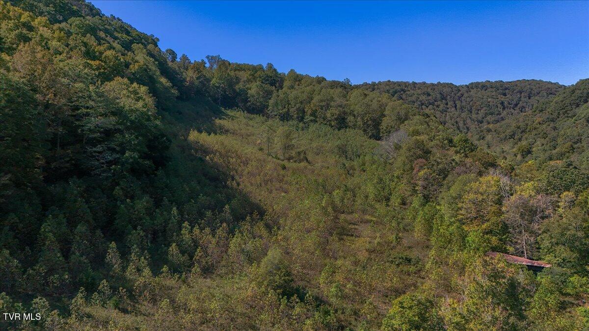 4493 Livingston Creek Road, Bristol, Virginia image 10