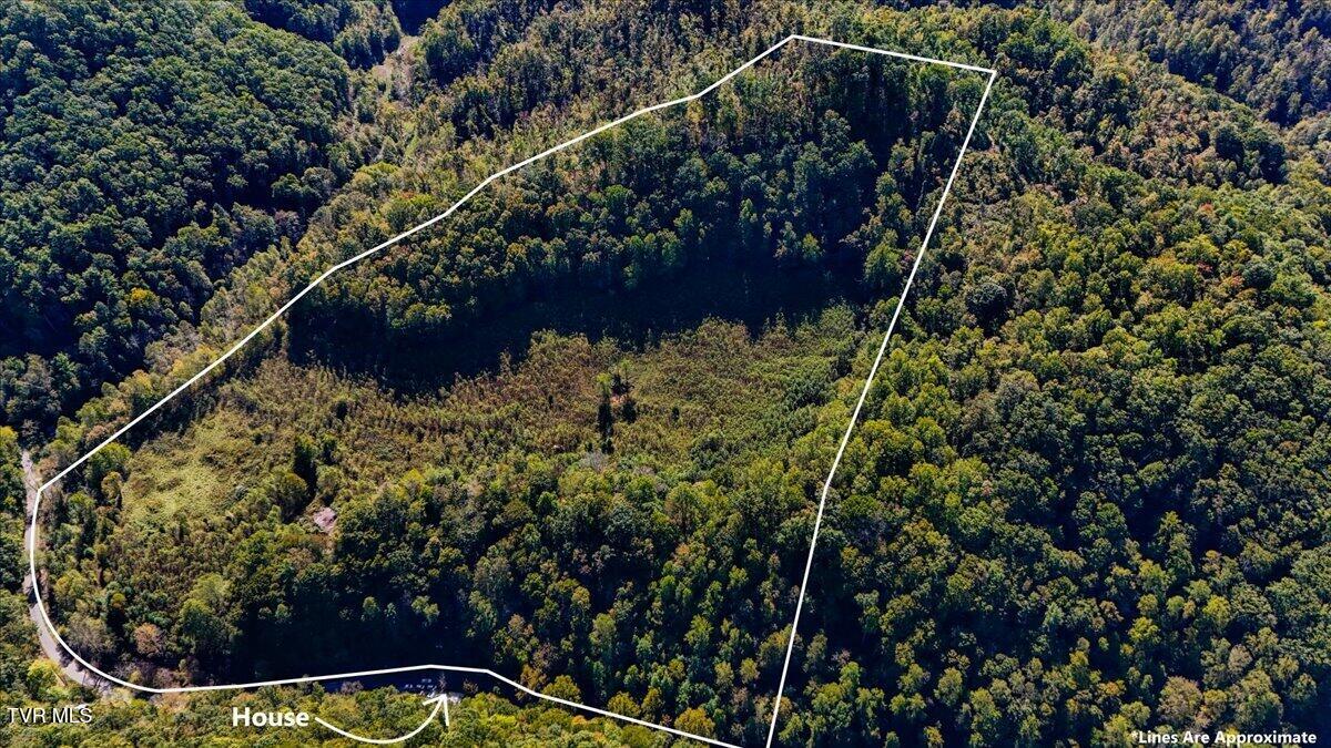 4493 Livingston Creek Road, Bristol, Virginia image 4