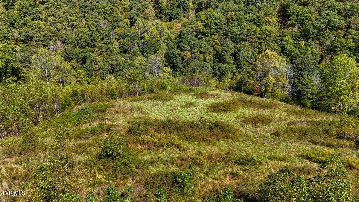4493 Livingston Creek Road, Bristol, Virginia image 9