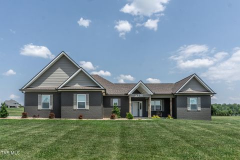 Photo of 336 Belle Arden Drive, Greeneville, TN 37745 (MLS # 9994563)
