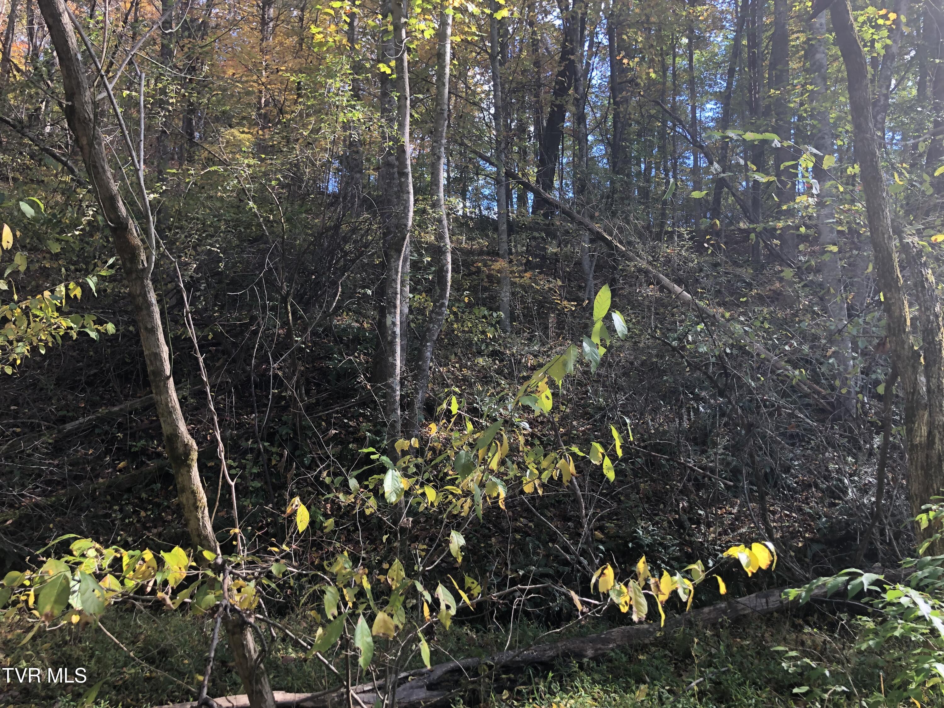 Rich Valley (lot 60) Road, Bristol, Virginia image 4