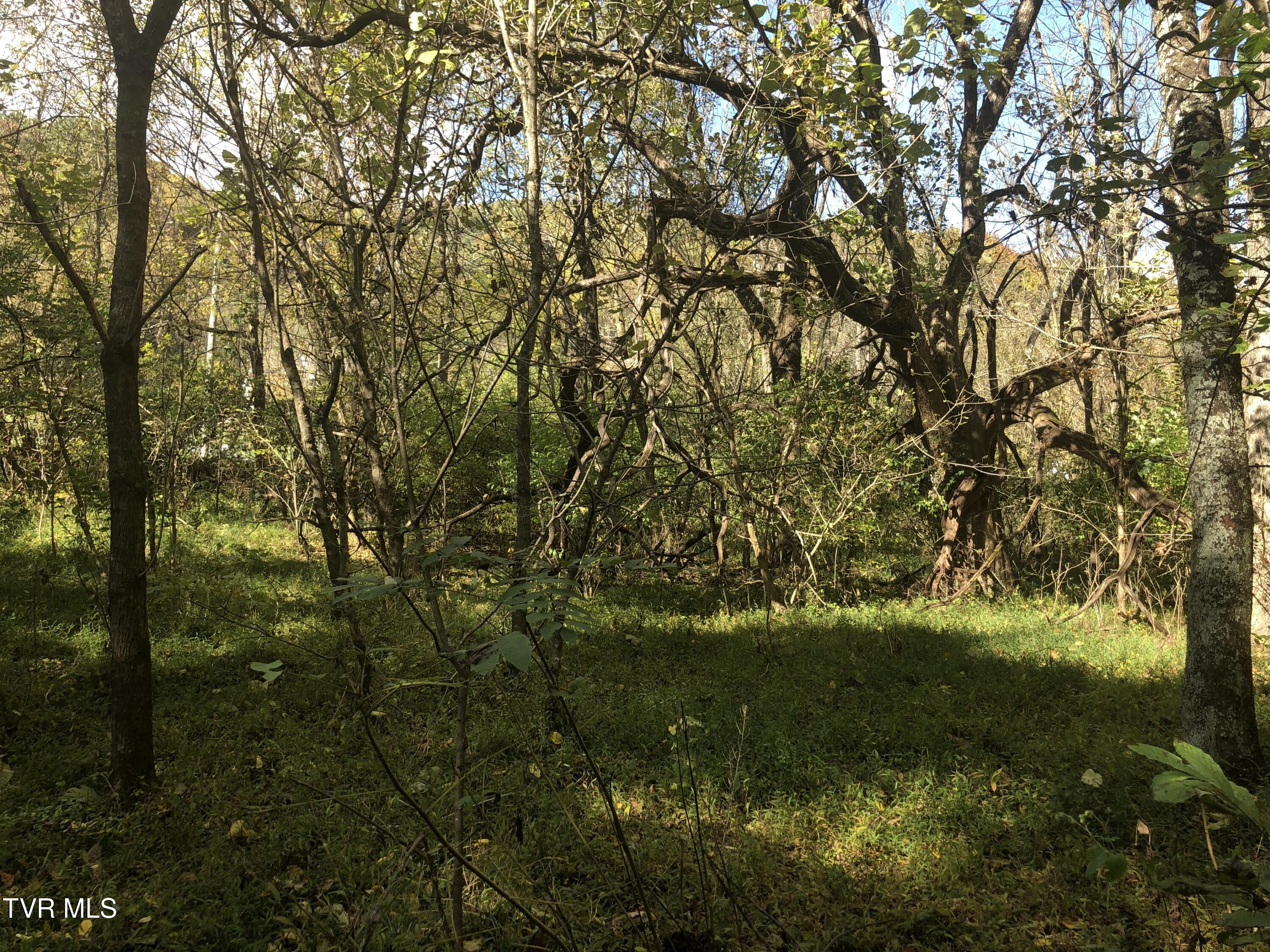 Rich Valley (lot 60) Road, Bristol, Virginia image 5
