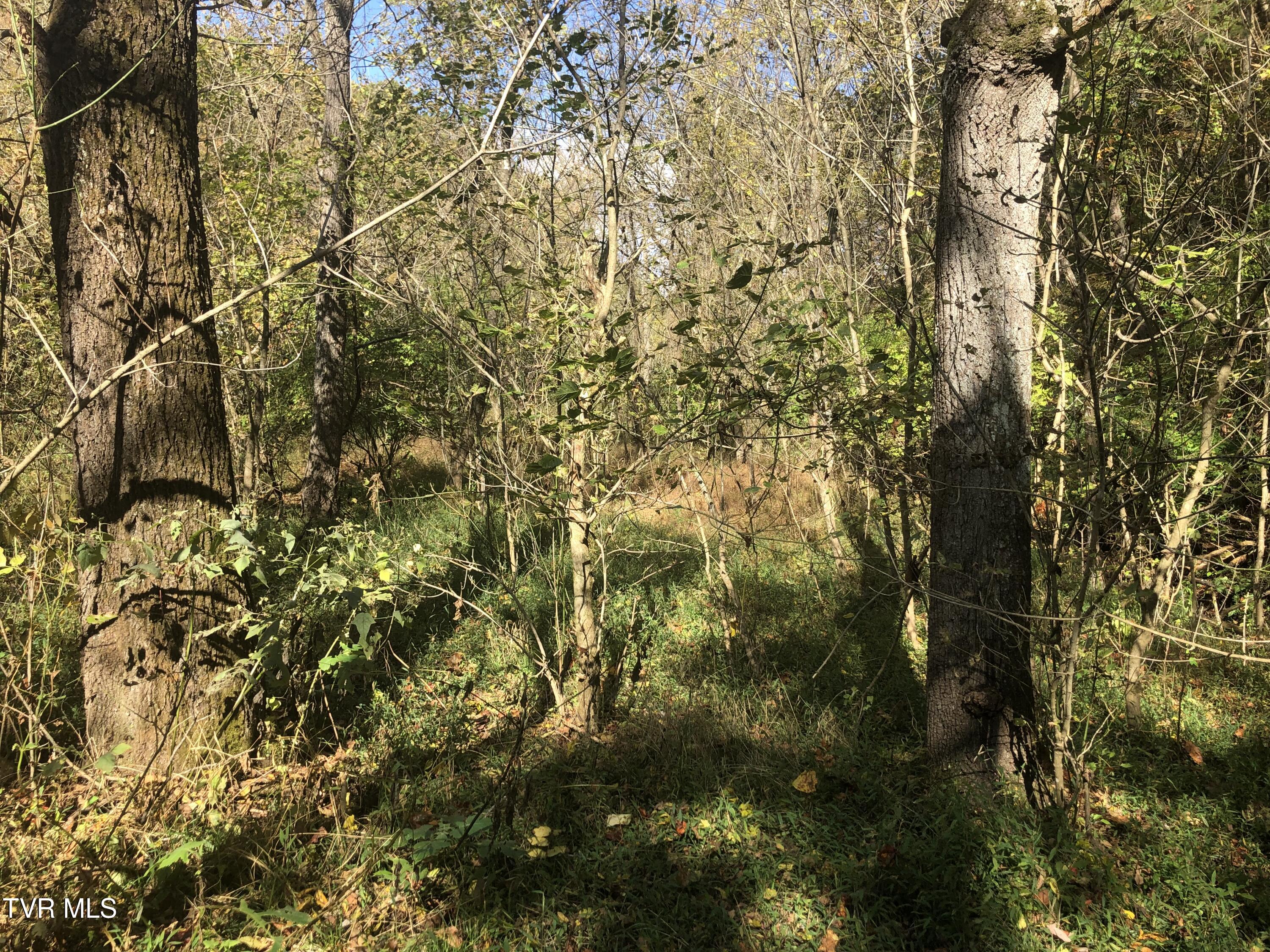 Rich Valley (lot 60) Road, Bristol, Virginia image 8