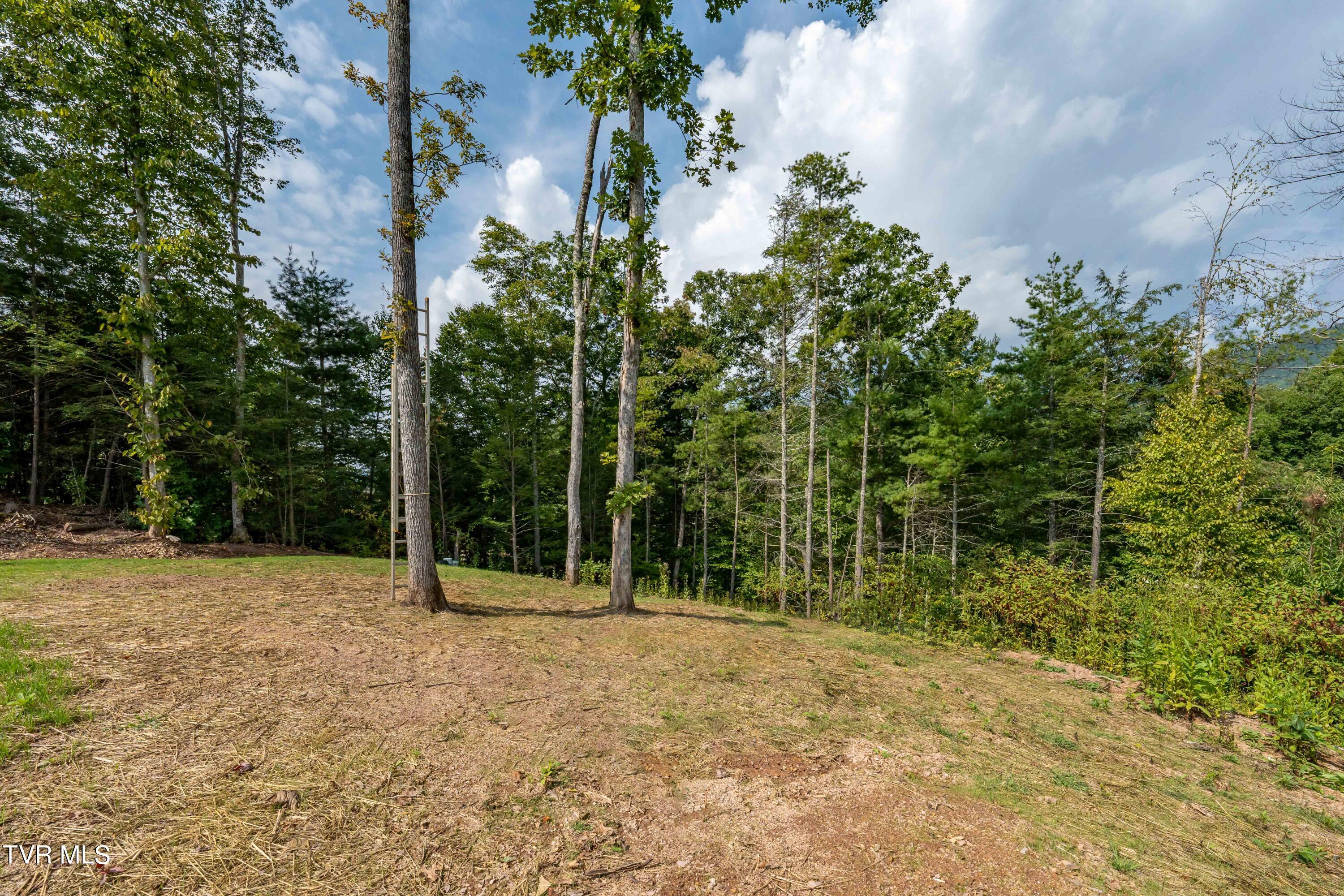 1005 Campbell Road, Mountain City, Tennessee image 47