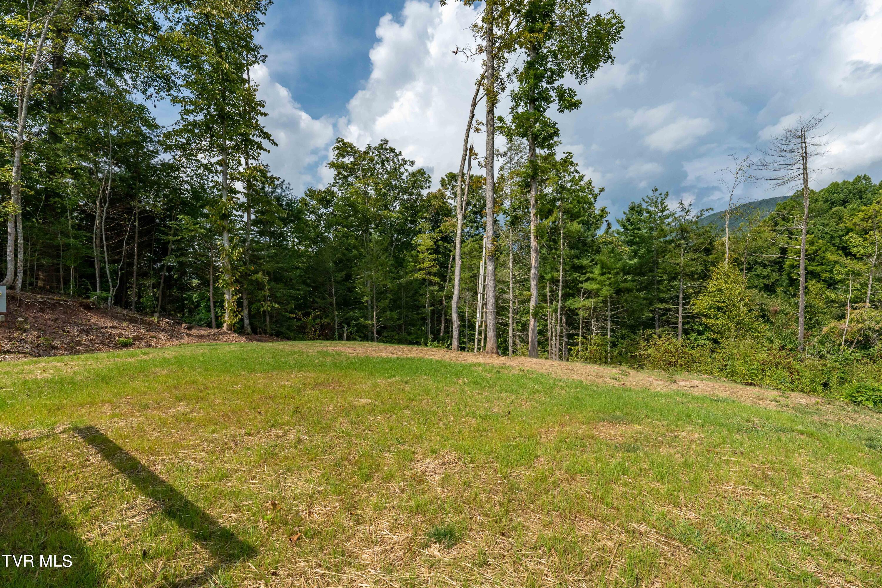 1005 Campbell Road, Mountain City, Tennessee image 46