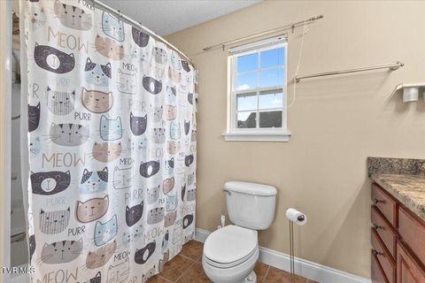 Tiny photo for 109 Violet Lane, Bluff City, TN 37618 (MLS # 9986338)