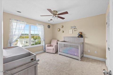 Tiny photo for 109 Violet Lane, Bluff City, TN 37618 (MLS # 9986338)