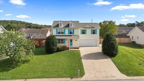 Tiny photo for 109 Violet Lane, Bluff City, TN 37618 (MLS # 9986338)