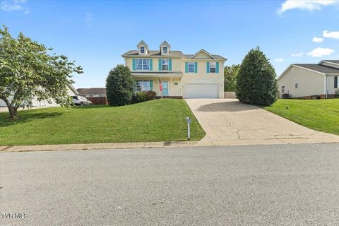 Tiny photo for 109 Violet Lane, Bluff City, TN 37618 (MLS # 9986338)
